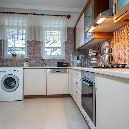 Ayse Hanim Villa Degirmenyani Marmaris Villa *